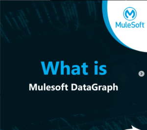 Anypoint Datagraph, MuleSoft GraphQL