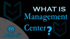 Mulesoft Management Center